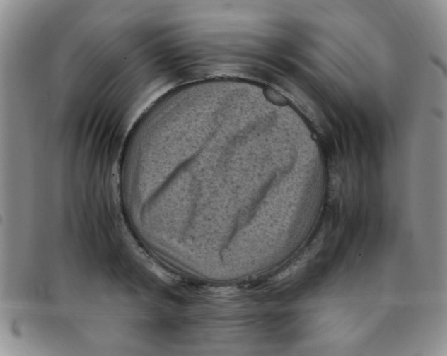 X0000097500798200803142018