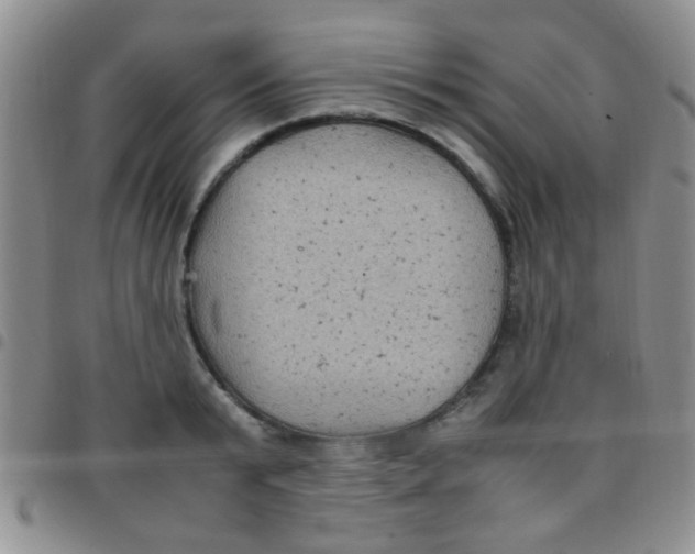 X0000097500799200803142018