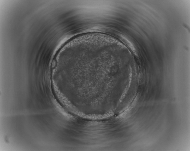 X0000097500800200803142018