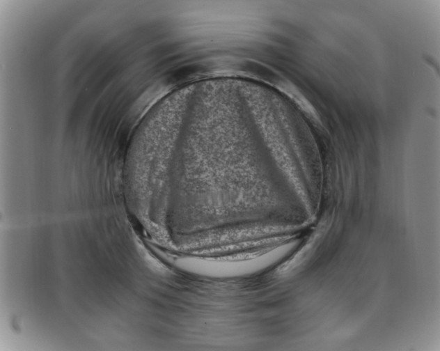 X0000097500801200803142018