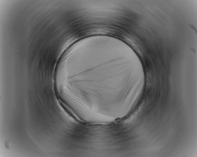 X0000097500802200803142018