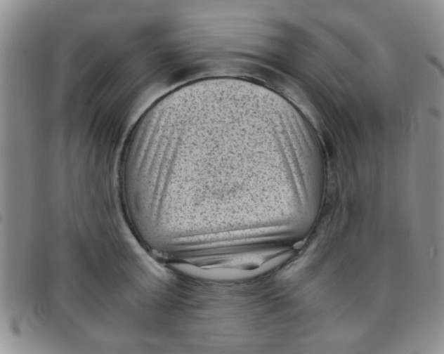 X0000097500803200803142018