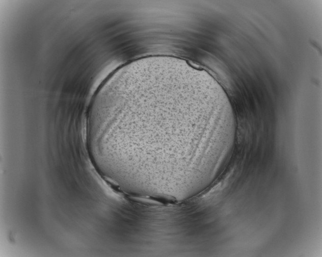 X0000097500804200803142018