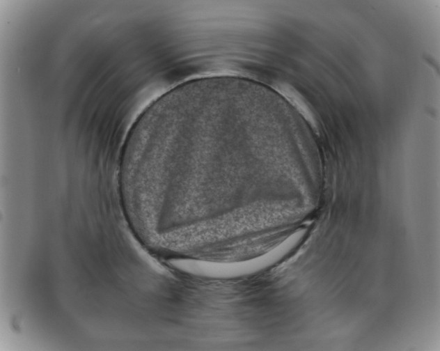 X0000097500805200803142018