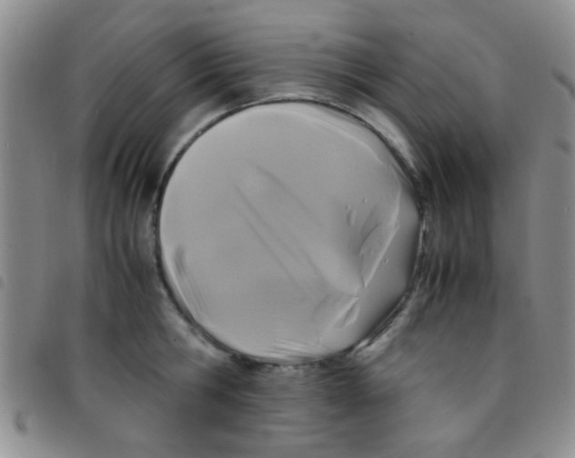 X0000097500806200803142018