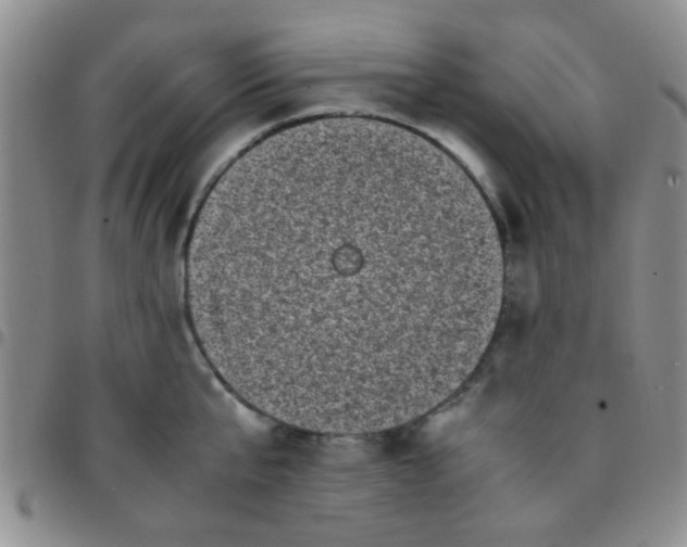 X0000097500807200803142018