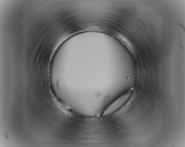 X0000097500808200803142018