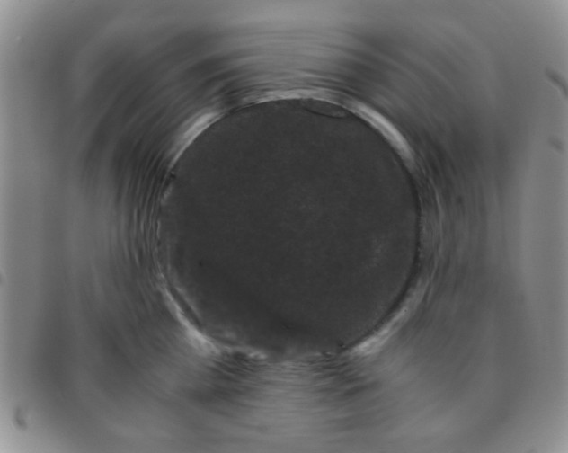 X0000097500809200803142018