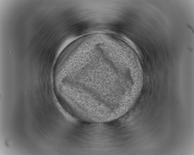 X0000097500811200803142018