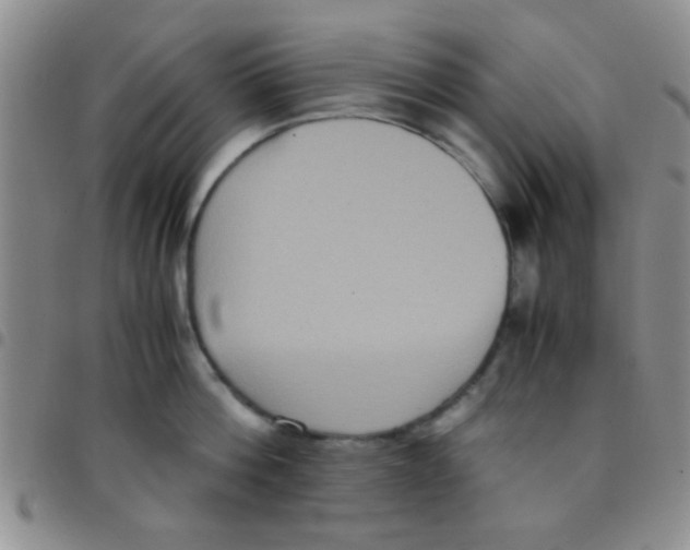 X0000097500812200803142018