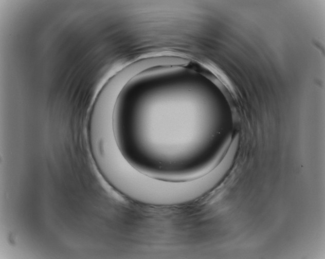 X0000097500813200803142018