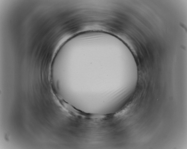 X0000097500815200803142018