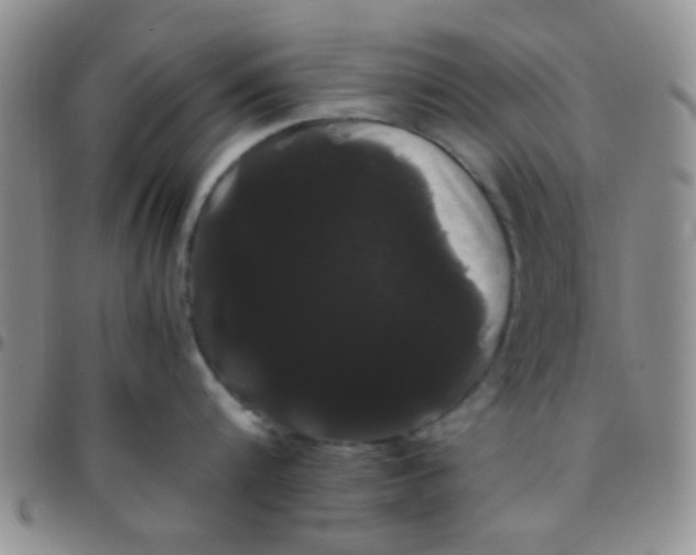 X0000097500816200803142018