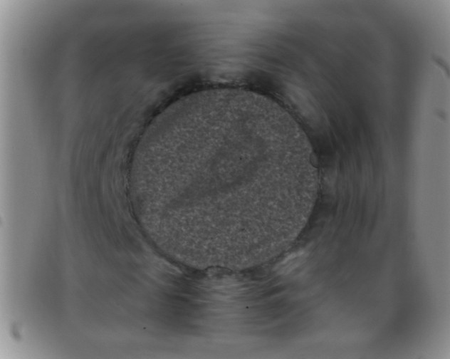 X0000097500817200803142017