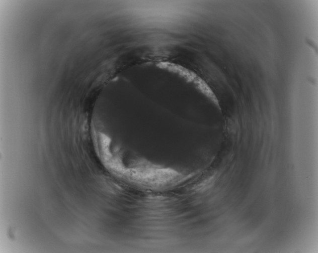 X0000097500818200803142017