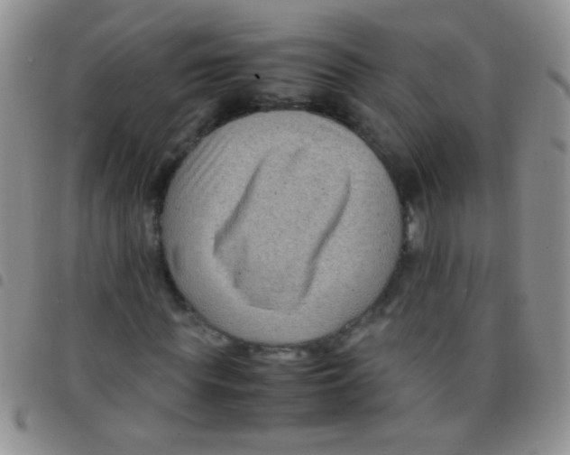 X0000097500819200803142017