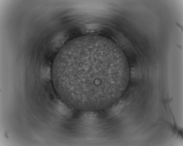 X0000097500820200803142017