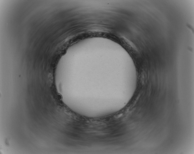 X0000097500821200803142017