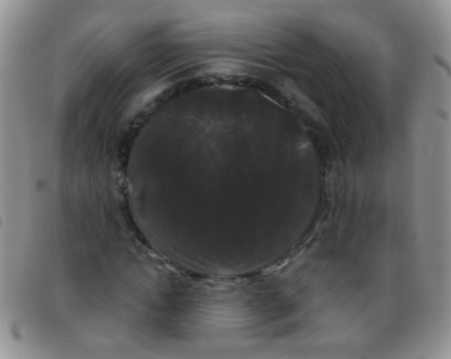 X0000097500822200803142017