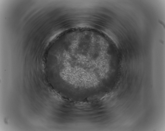 X0000097500823200803142017