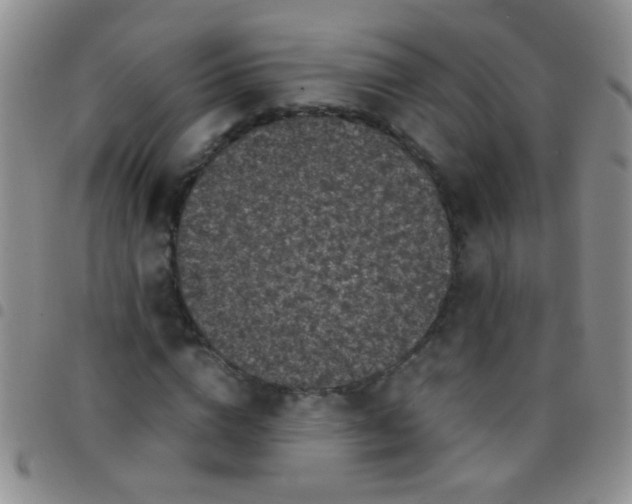 X0000097500824200803142017