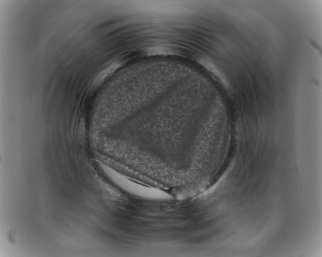 X0000097500825200803142017