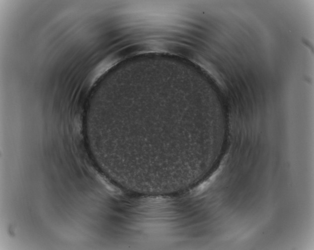 X0000097500826200803142017