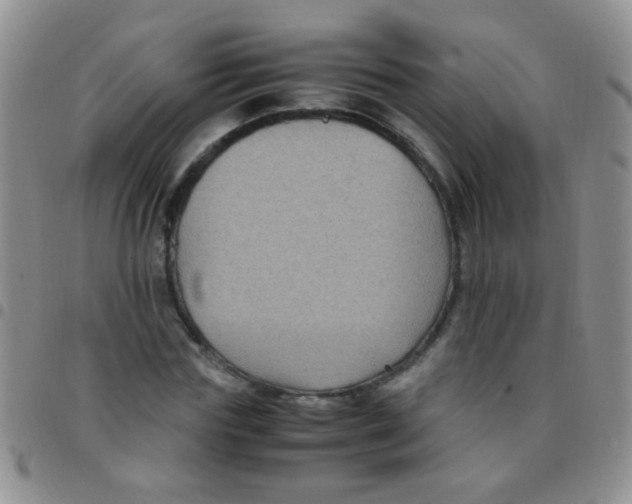 X0000097500827200803142017