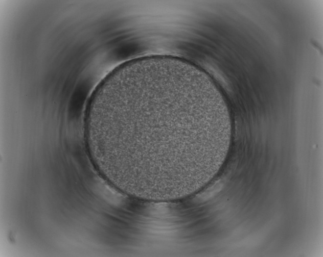 X0000097500828200803142017