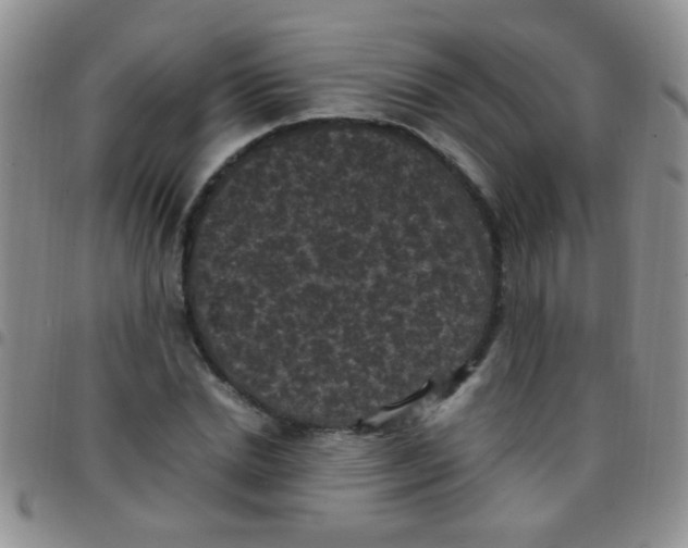 X0000097500830200803142017