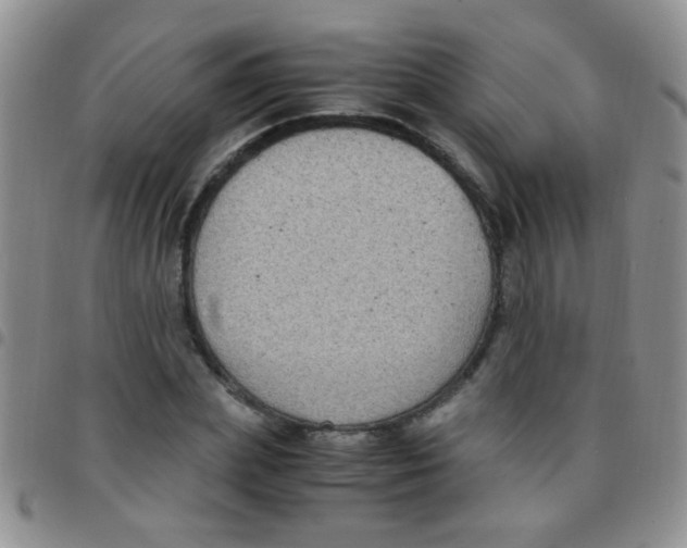 X0000097500831200803142017