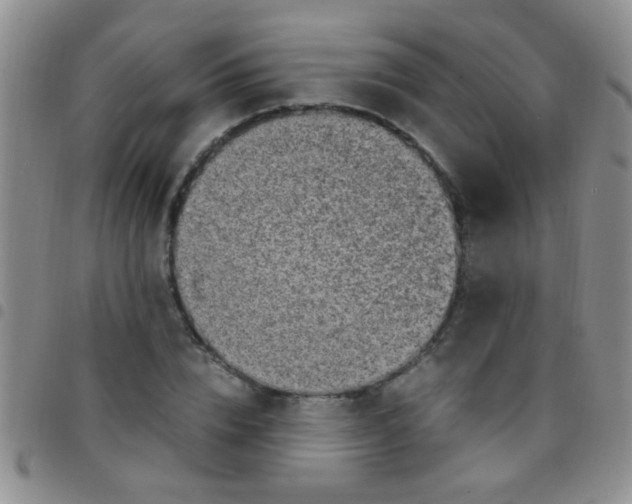 X0000097500832200803142017