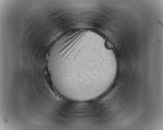 X0000097500833200803142017