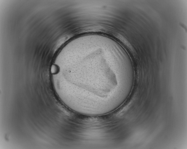 X0000097500834200803142017