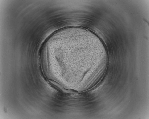 X0000097500835200803142017