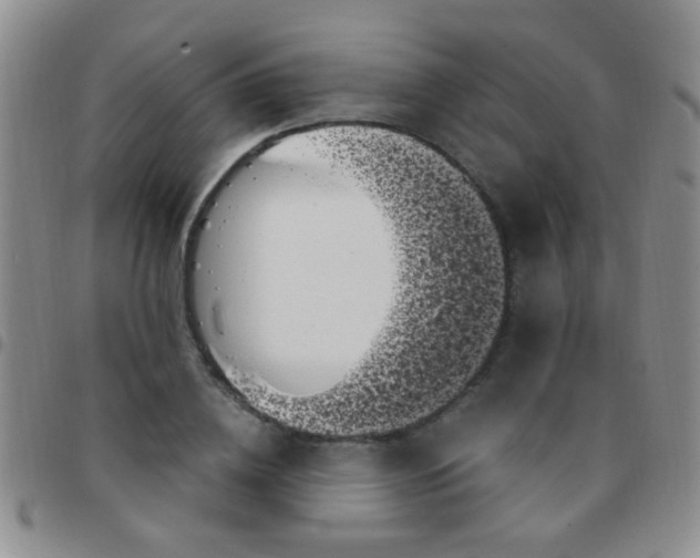 X0000097500836200803142017