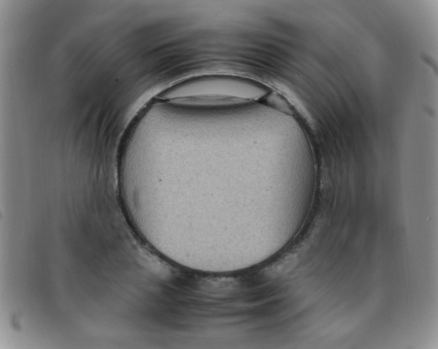 X0000097500837200803142017