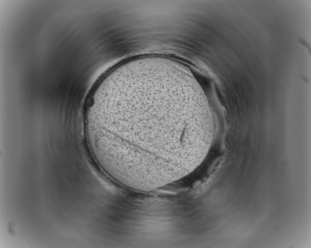 X0000097500838200803142017