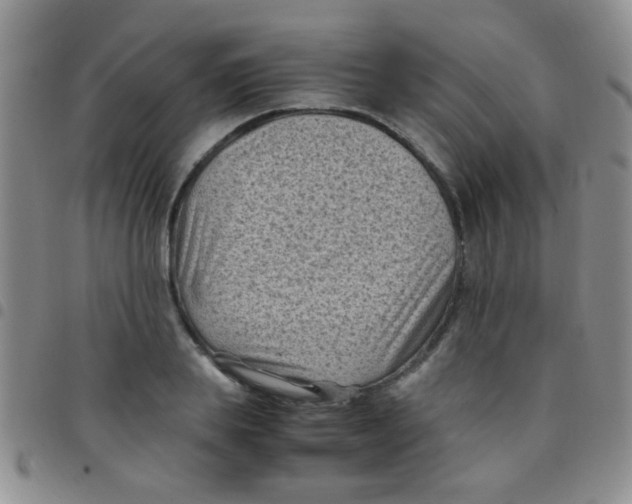 X0000097500839200803142017