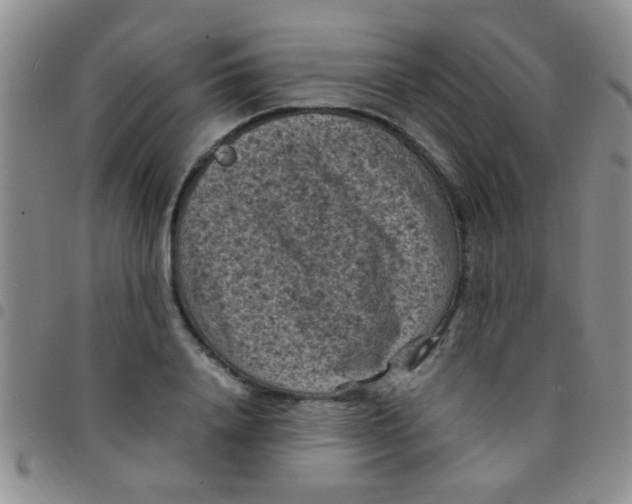 X0000097500840200803142018