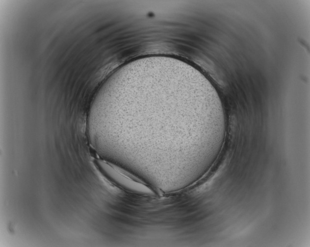 X0000097500841200803142018