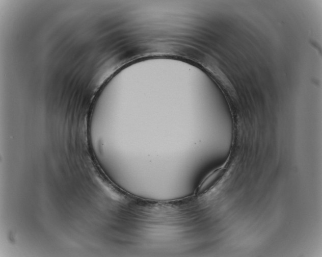 X0000097500842200803142018