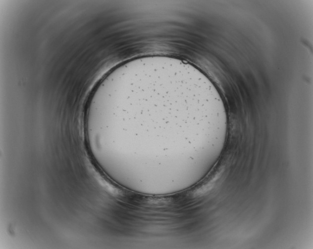 X0000097500843200803142018