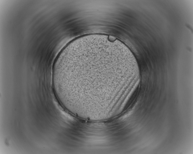 X0000097500844200803142018