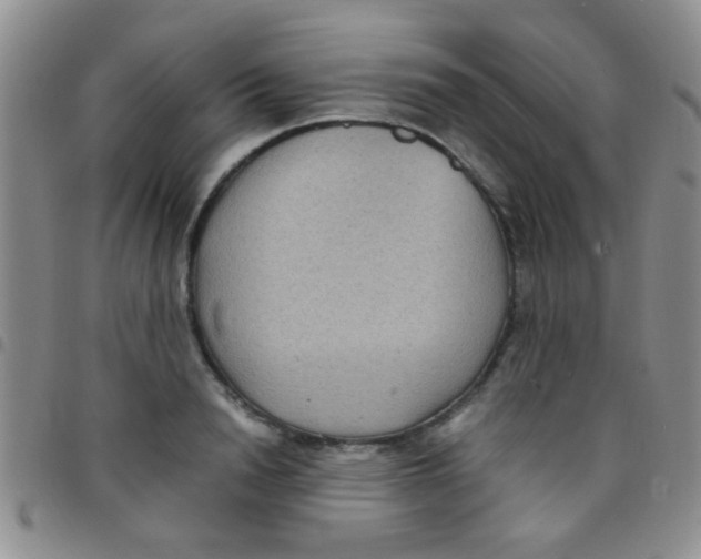 X0000097500846200803142018