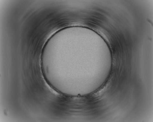 X0000097500847200803142018