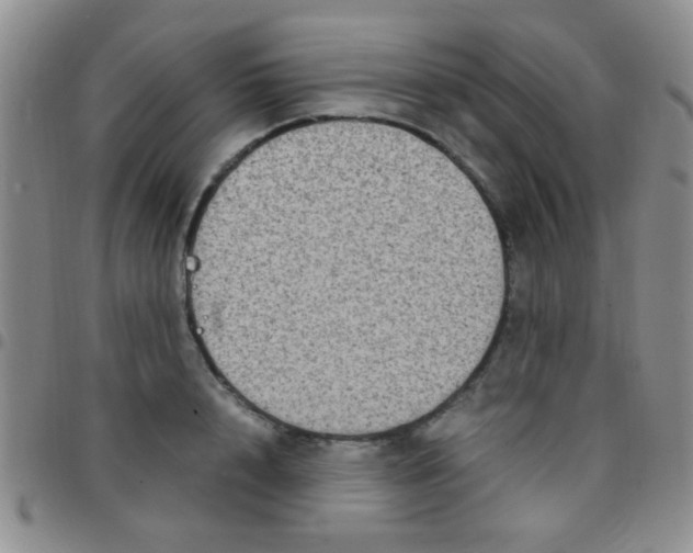 X0000097500848200803142018