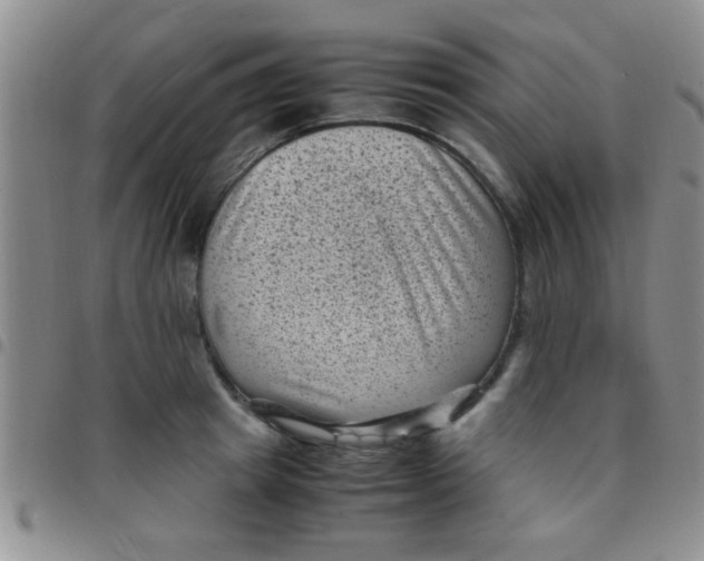 X0000097500849200803142018