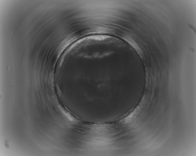 X0000097500850200803142018