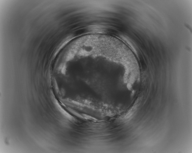 X0000097500851200803142018